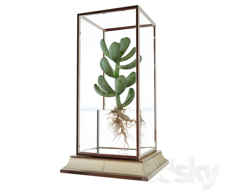 Cactus in a vase on a stand