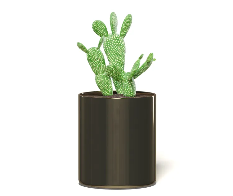 Cactusinmetalpot