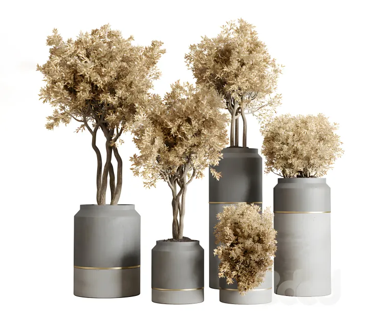 Collection autumn leaves indoor plant