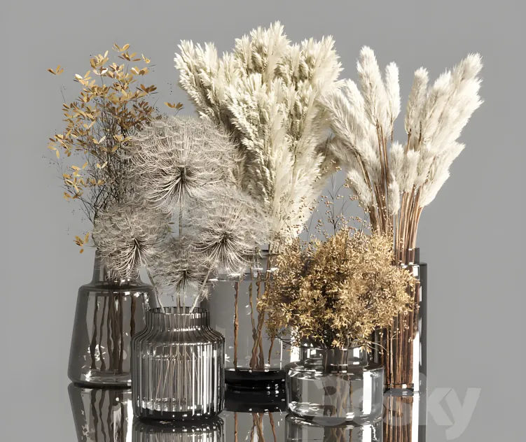 Collection dry plants bouquet indoor
