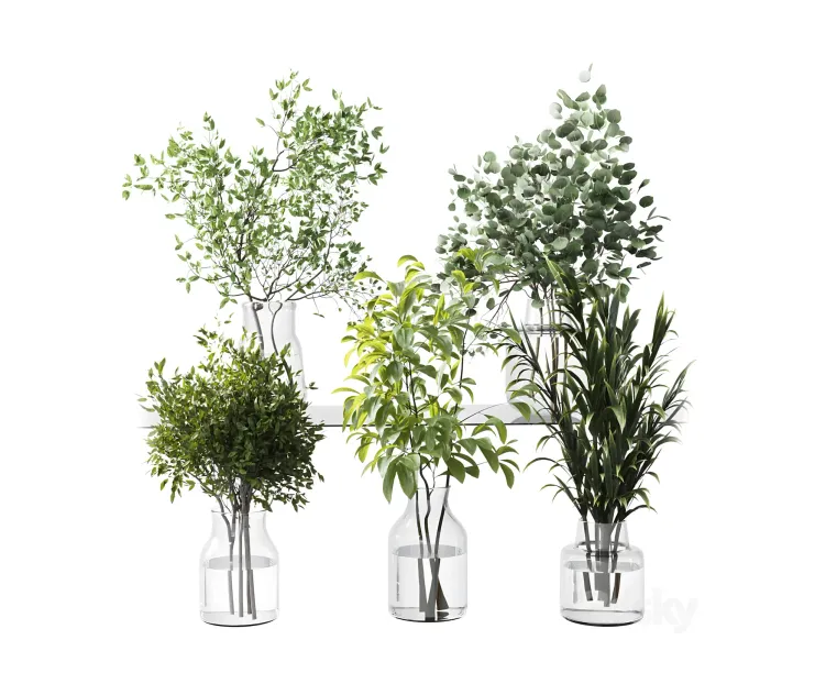 Collection green plants bouquet indoor