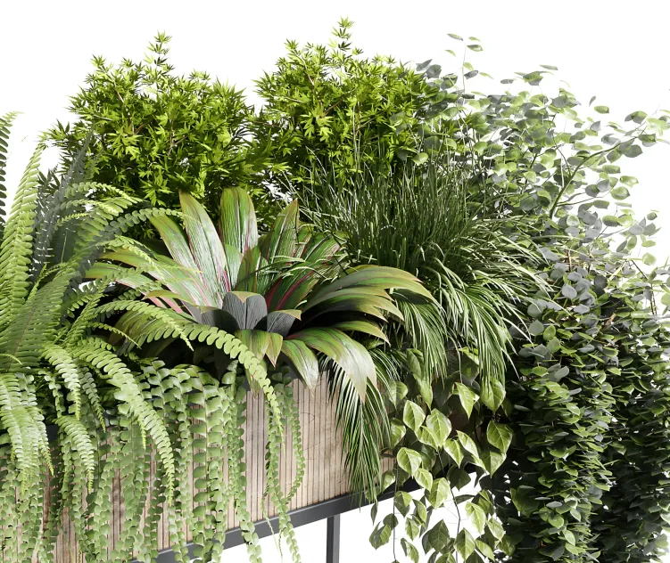 Collection indoor plant stand pot bax wood