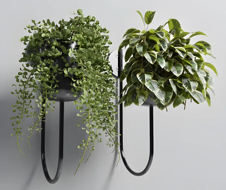 Collection indoor plant vase metal stand wall plant