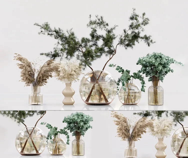 Collection indoor plants