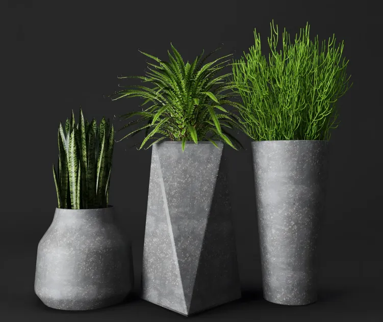 Collection of concrete pots with plants