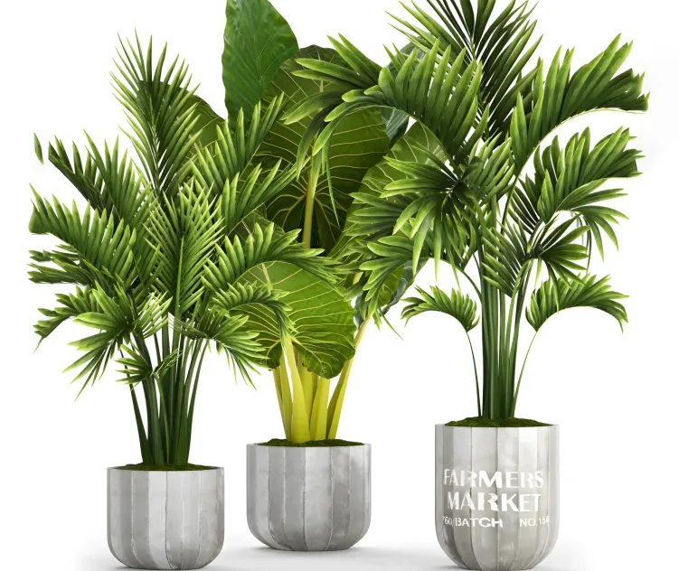 Collection of plants