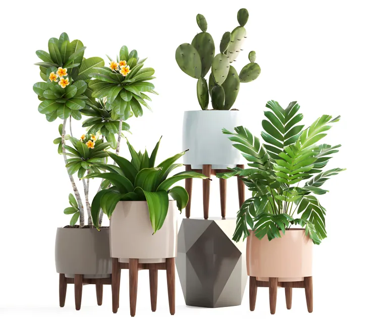 Collection of plants