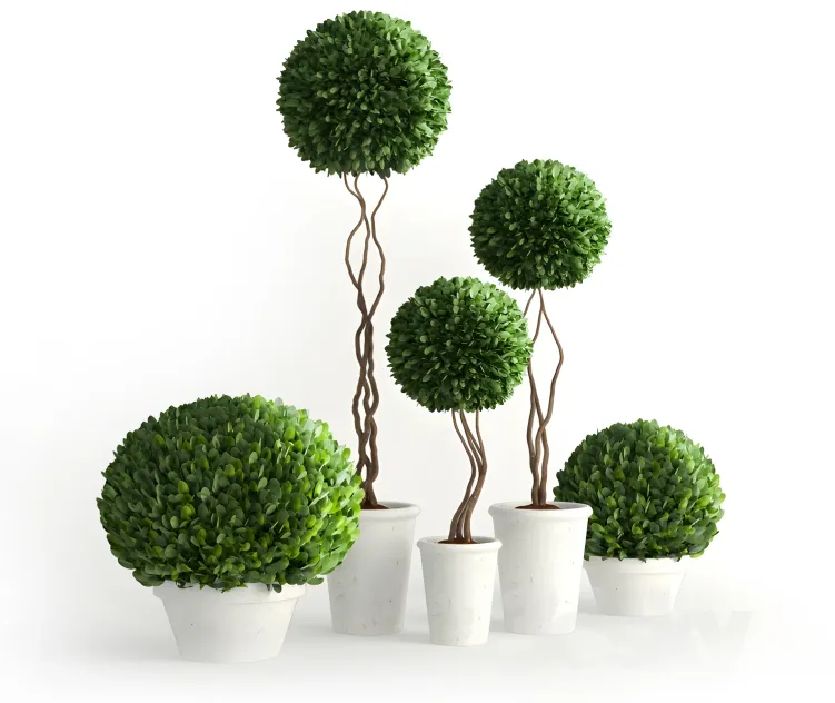 Collection of plants