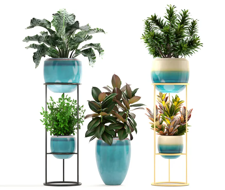 Collection of plants 5