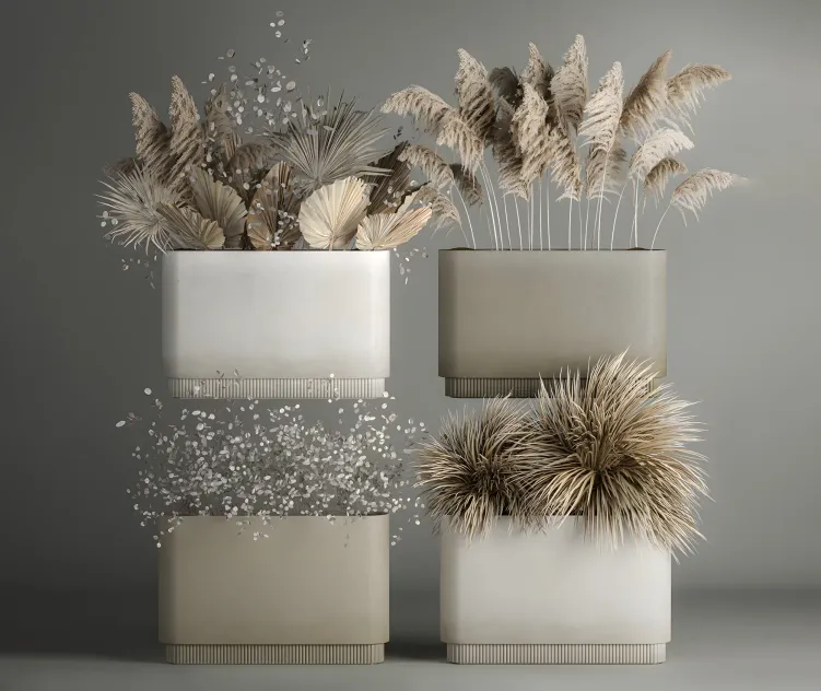 Collection of plants from dried flowers