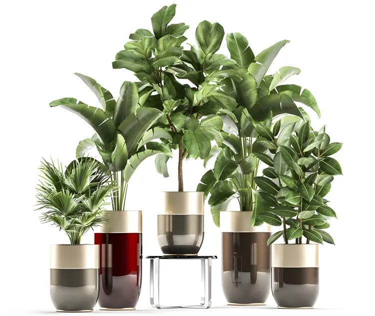 Collection of plants in gold pots godwin longhi