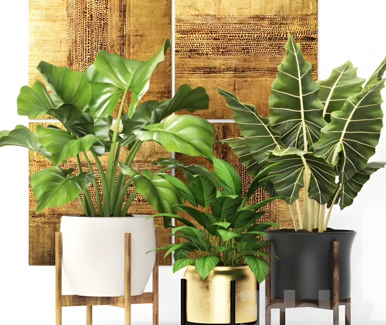 Collection of plants in pots