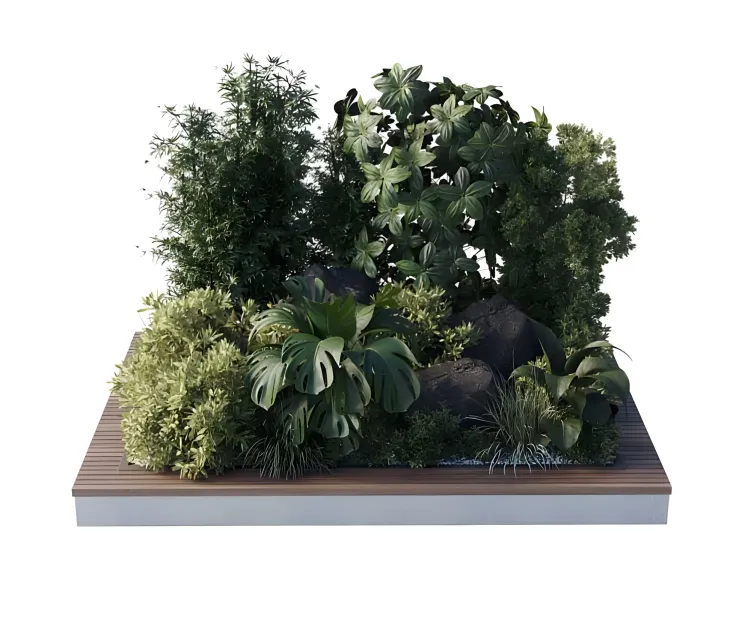 Collection outdoor indoor pot plant