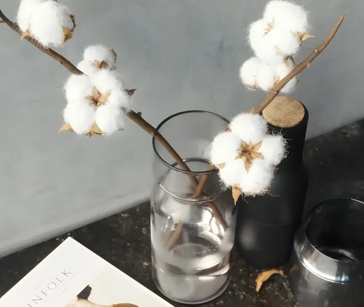 Cotton branch
