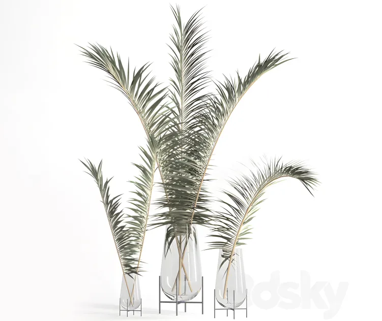 Dry palm leaves in echasse vases