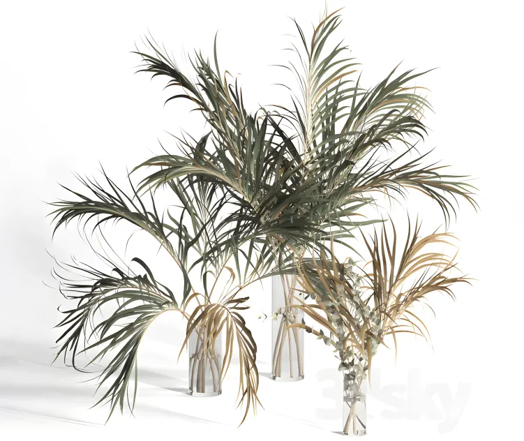 Dry palm leaves in vases