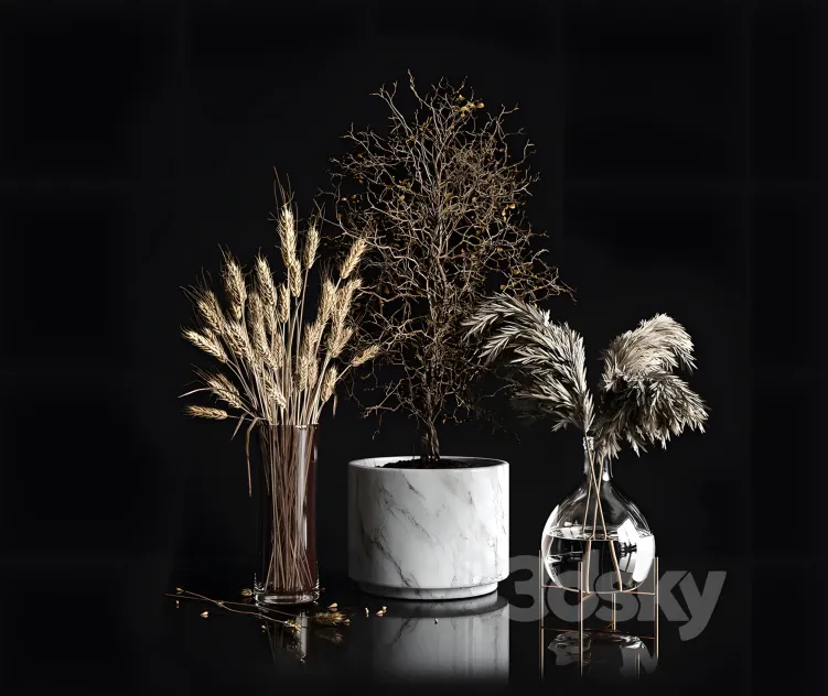 Dry plants collection