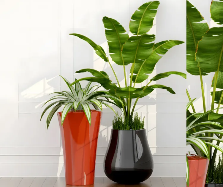 Epoxia planters
