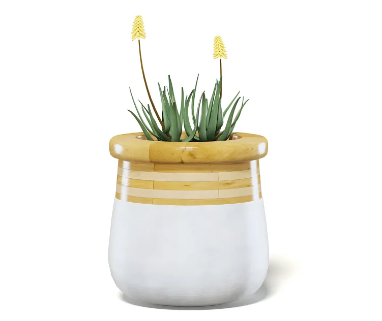 Flowersinlargemodernpot