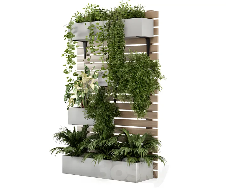 Indoor hanging plants in metal stand