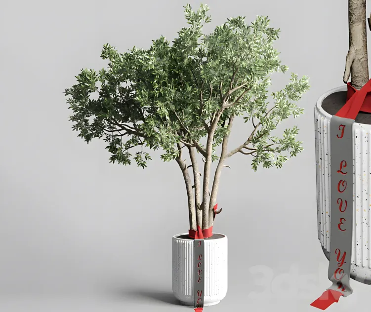 Indoor outdoor plant pot