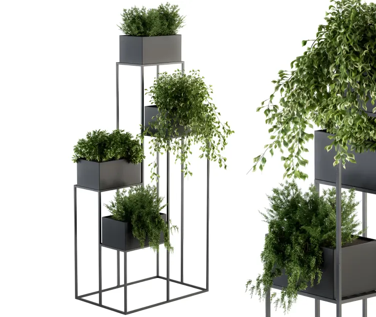 Indoor plant black stand