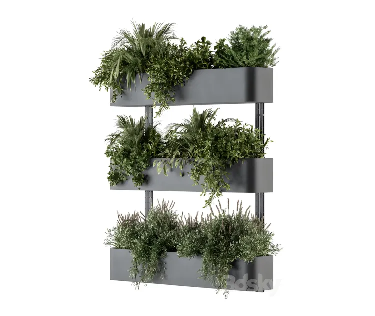 Indoor plant boxstand with hanging plants