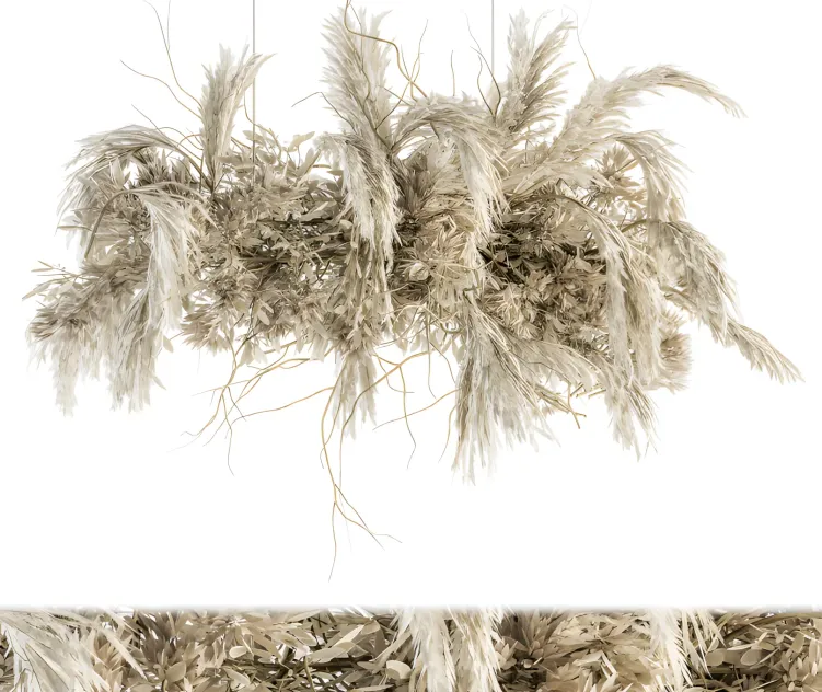 Indoor plant dried plant hanging