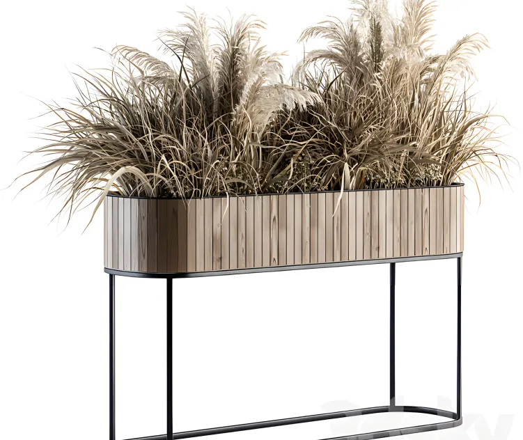 Indoor plant dried plants in wood stand