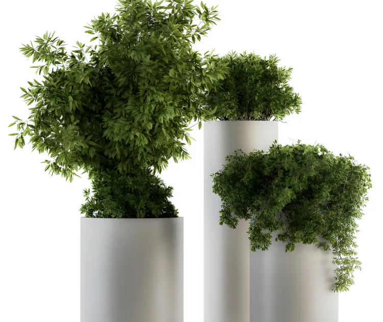 Indoor plant green white set