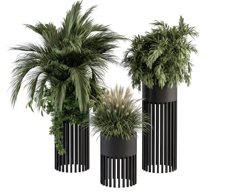 Indoor plant plant set in round stand black pot