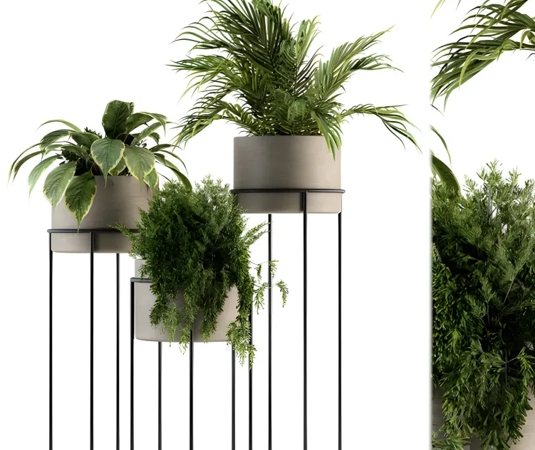 Indoor plant plant stand
