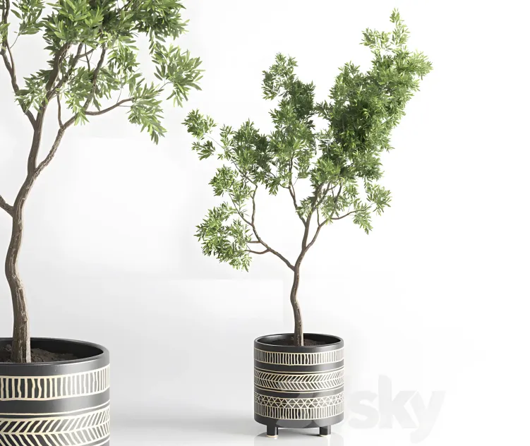 Indoor plant vase handmade pottery plant tree pot