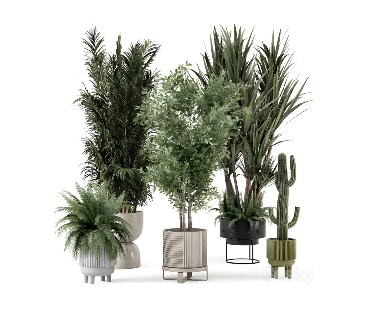 Indoor plants in ferm living bau pot large