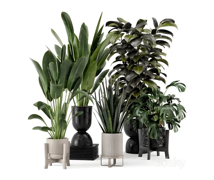Indoor plants in ferm living bau pot large