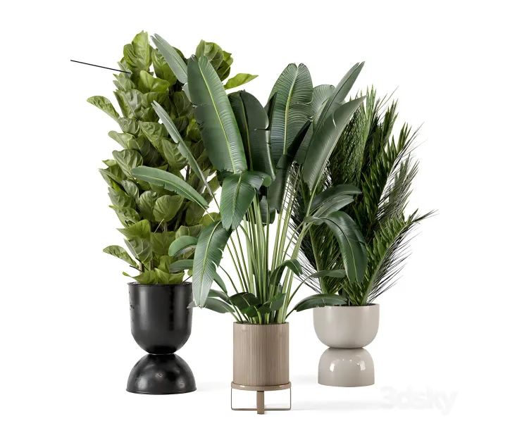 Indoor plants in ferm living bau pot large