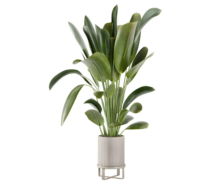 Indoor plants in ferm living bau pot large