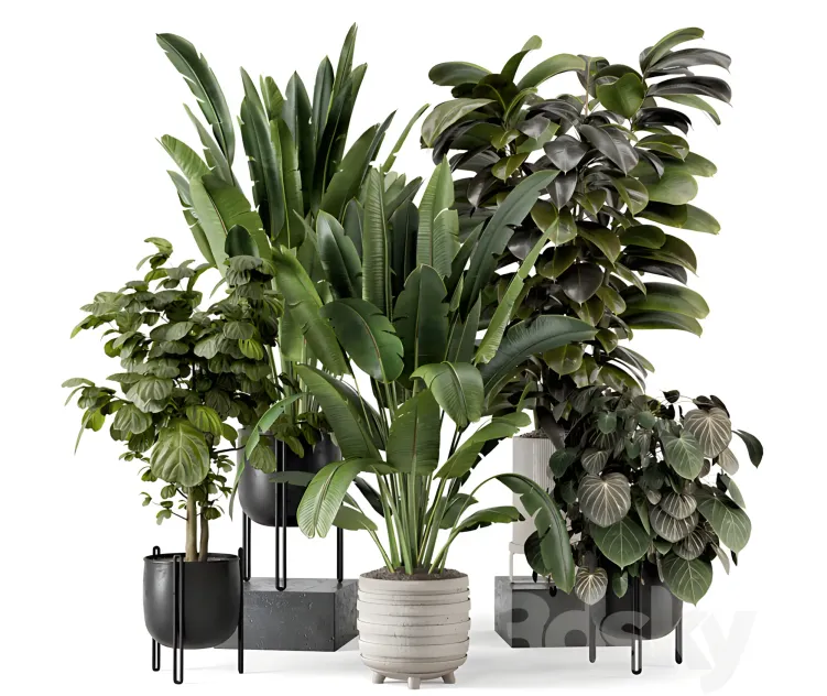 Indoor plants in ferm living bau pot large