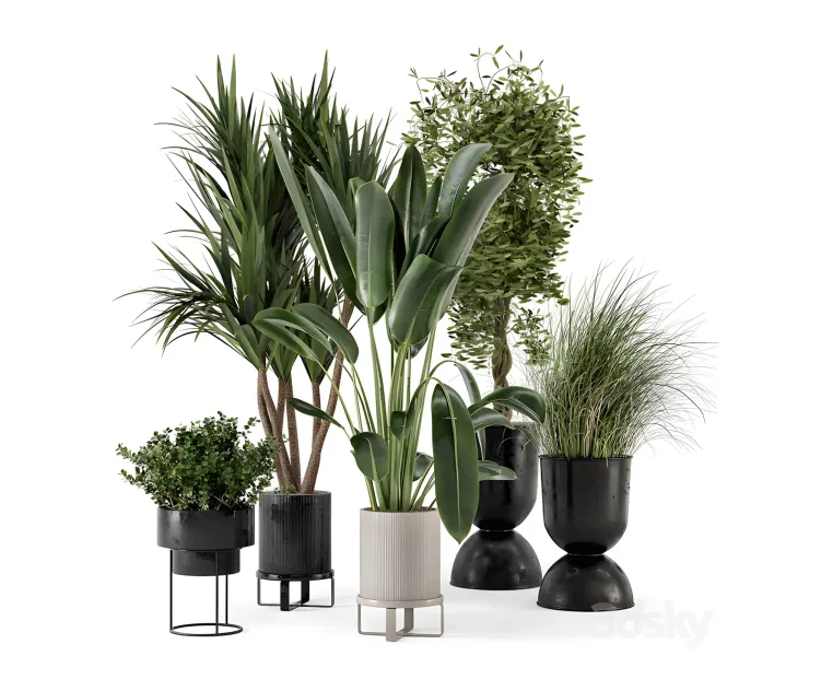 Indoor plants in ferm living bau pot large