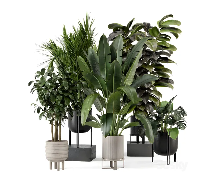 Indoor plants in ferm living bau pot large