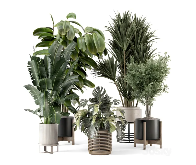 Indoor plants in ferm living bau pot large