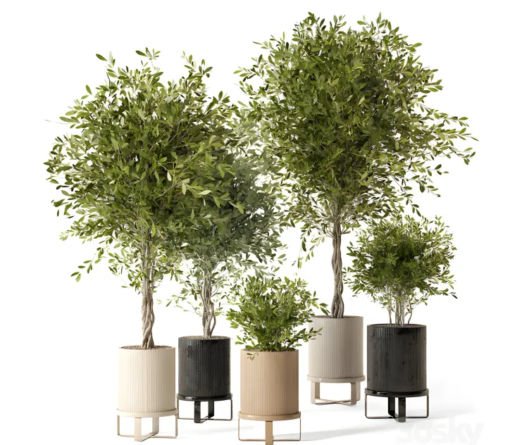Indoor plants in ferm living bau pot large