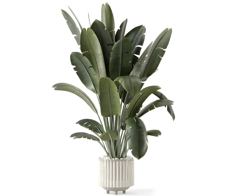 Indoor plants in ferm living bau pot large