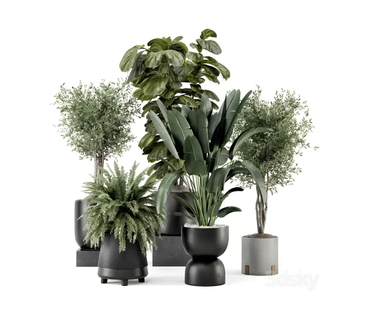 Indoor plants in ferm living bau pot large