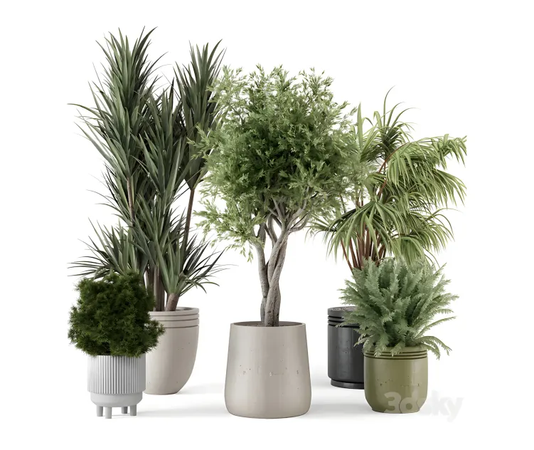 Indoor plants in ferm living bau pot large