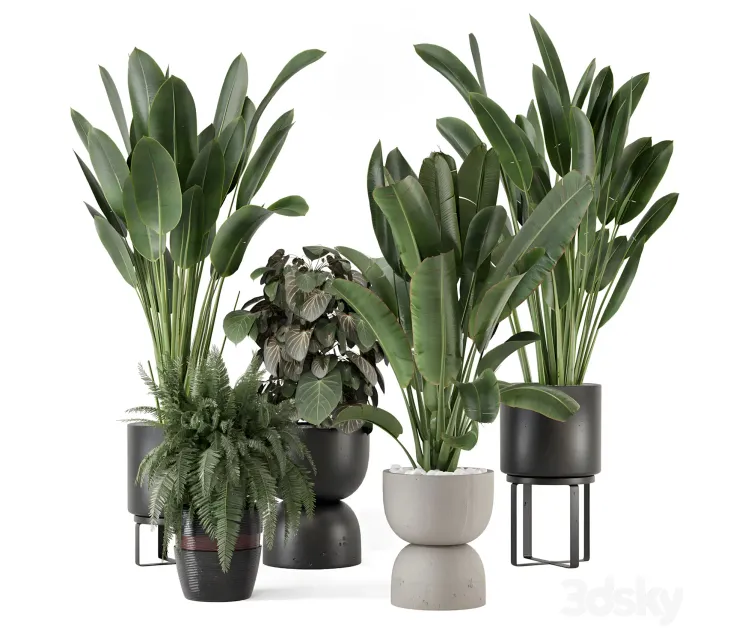 Indoor plants in ferm living bau pot large