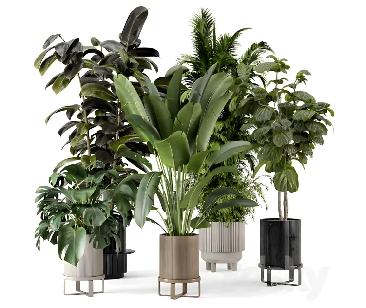Indoor plants in ferm living bau pot large