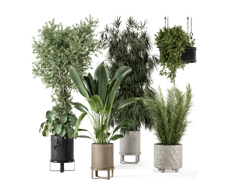 Indoor plants in ferm living bau pot large 2