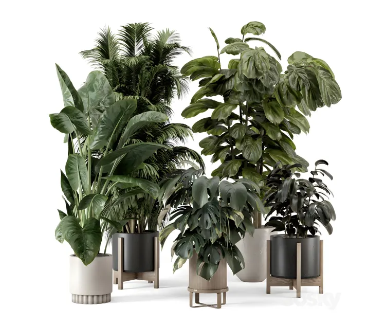 Indoor plants in ferm living bau pot large 2