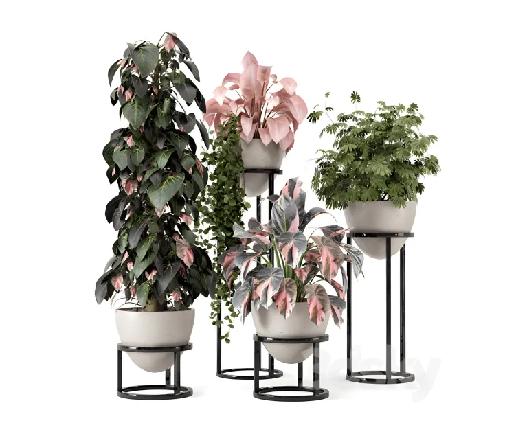 Indoor plants in rusty concrete pot on metal shelf
